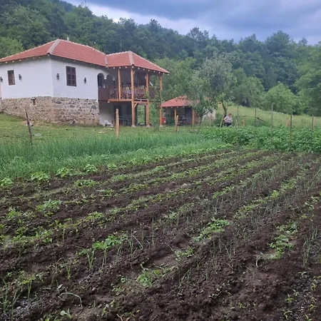 Kmetova Bajka Janja