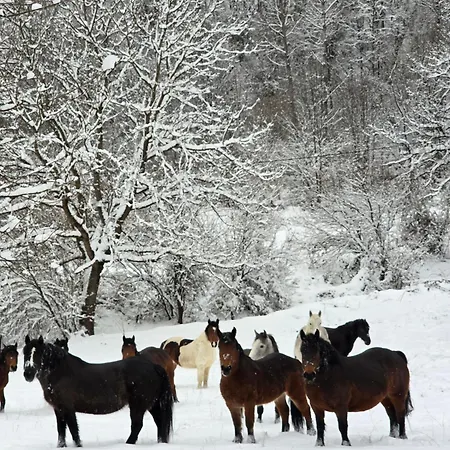 شقة Kmetova Bajka