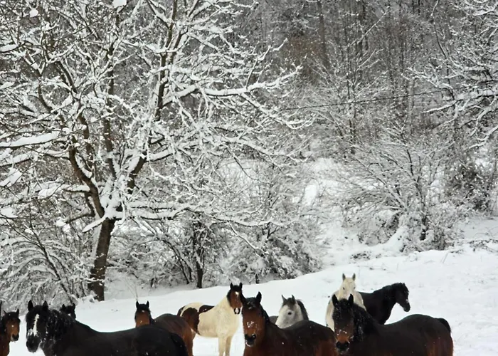 アパート Kmetova Bajka